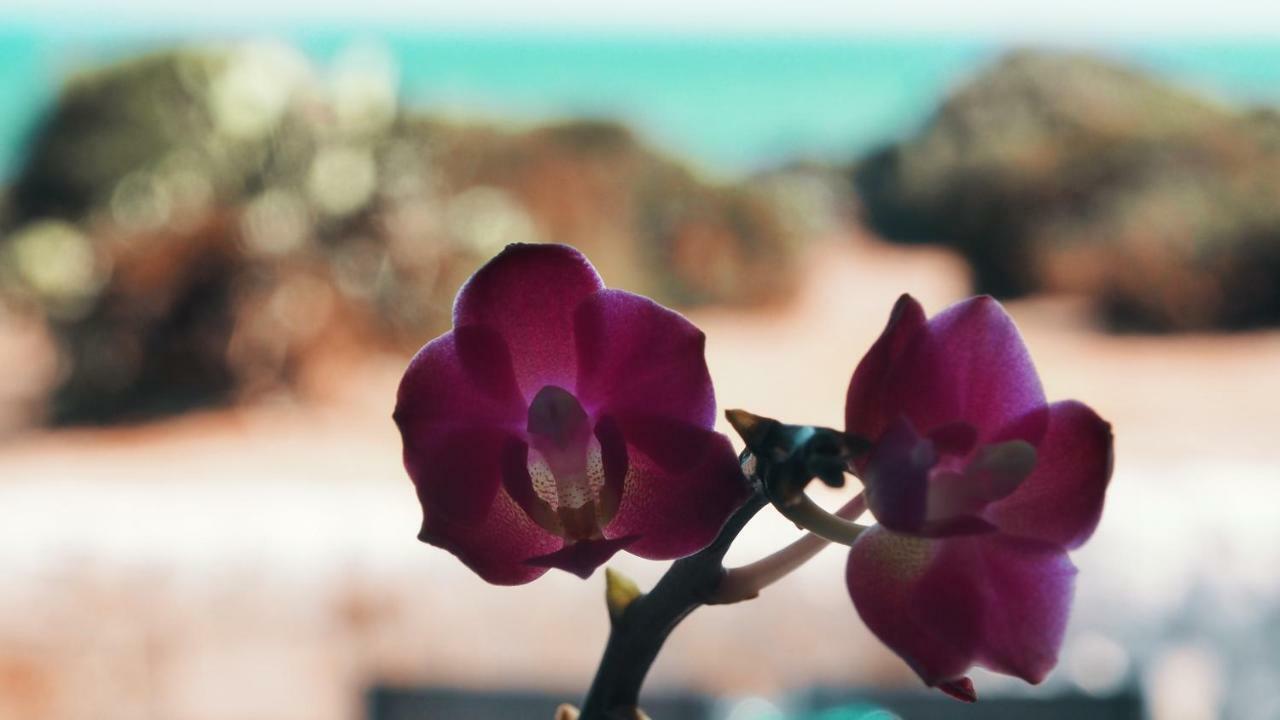 シクリ Rosa Marinaヴィラ エクステリア 写真